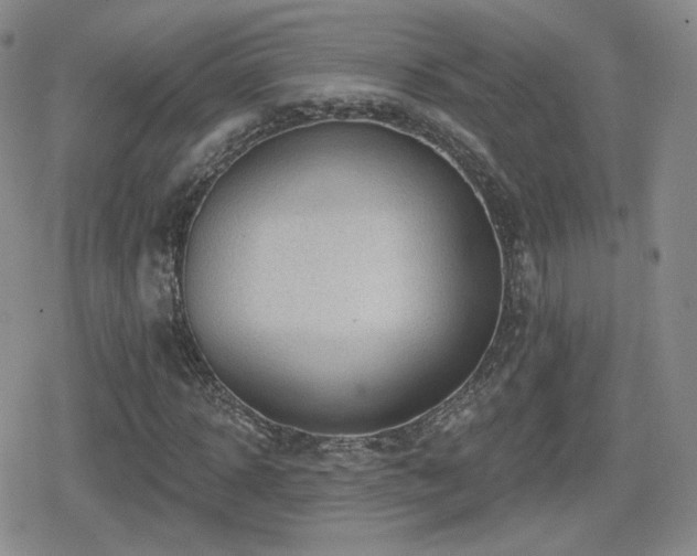 X0000080740918200612151245