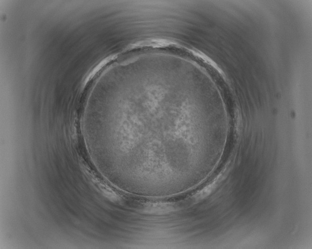 X0000080740921200612151245
