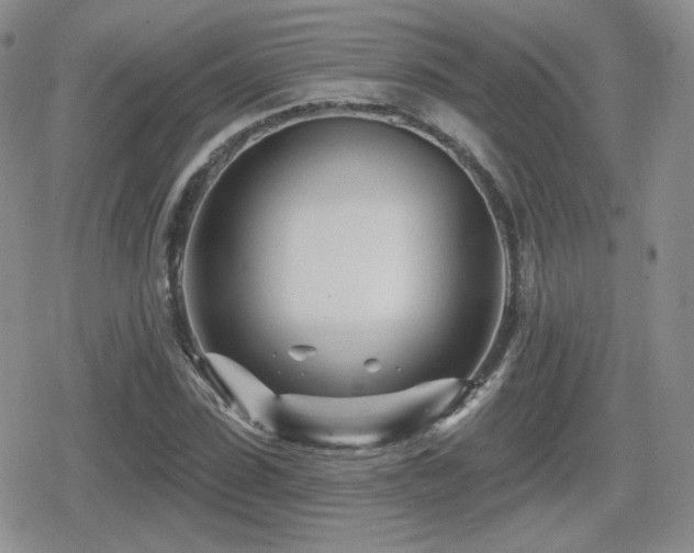 X0000080740923200612151245