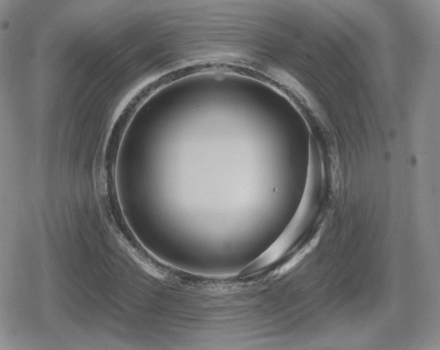 X0000080740924200612151245