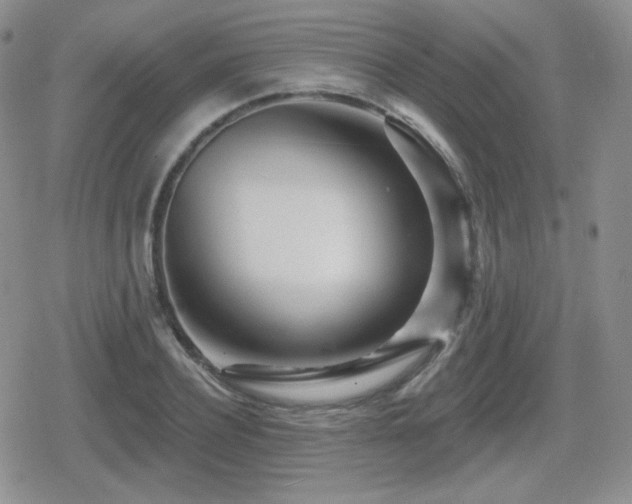 X0000080740932200612151246