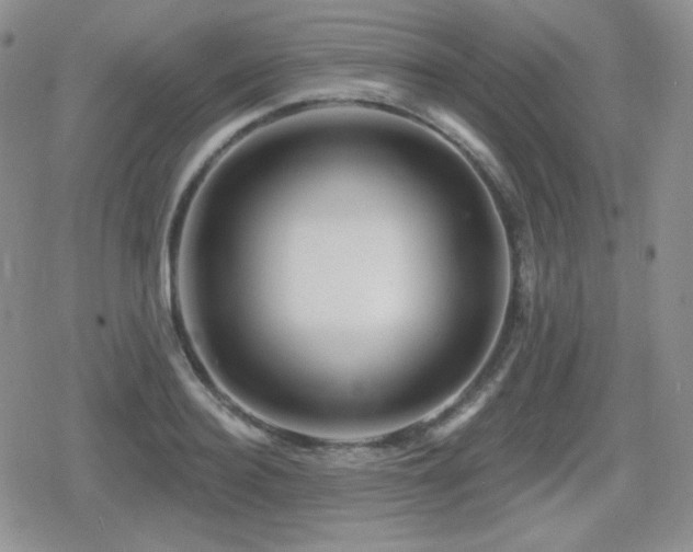 X0000080740940200612151246