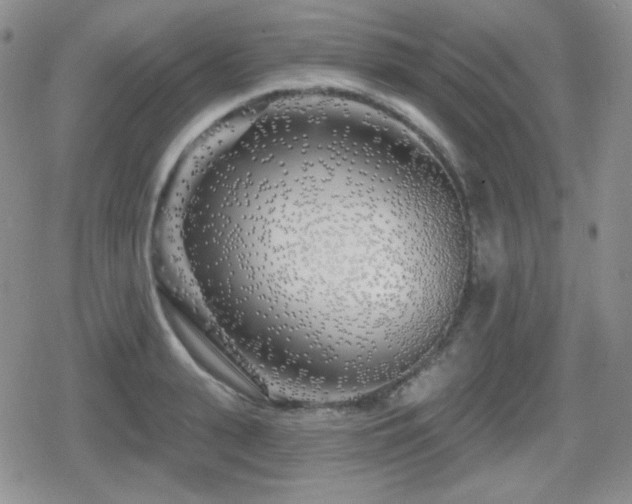 X0000080740943200612151246
