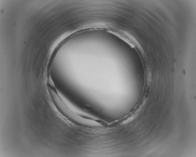 X0000080740944200612151246