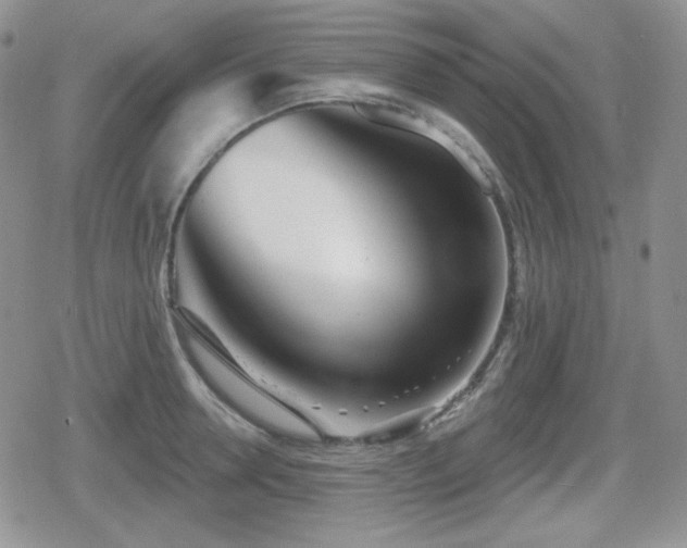 X0000080740946200612151246