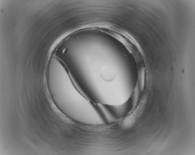 X0000080740952200612151246