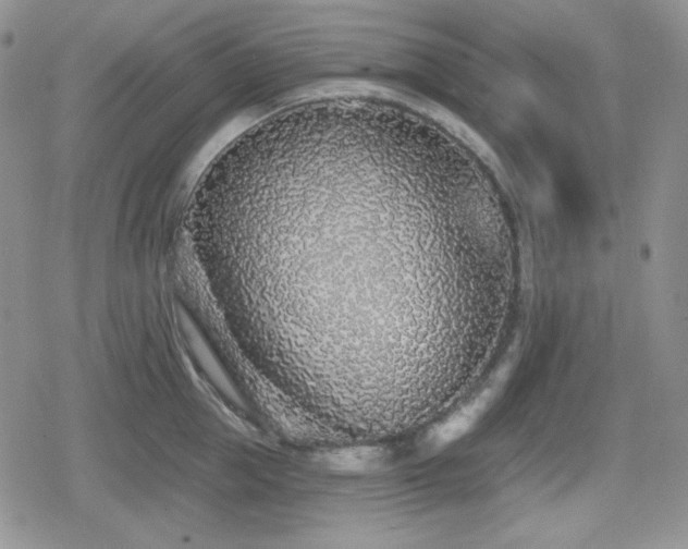 X0000080740953200612151246