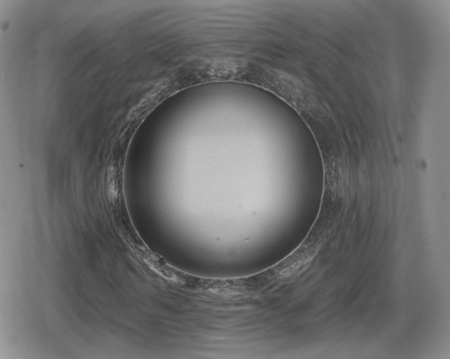 X0000080740962200612151245