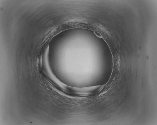 X0000080740965200612151245