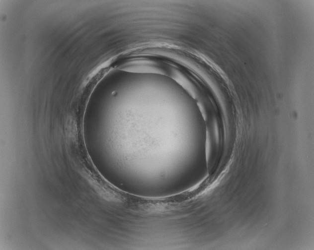 X0000080740969200612151245