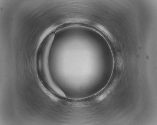 X0000080740976200612151245