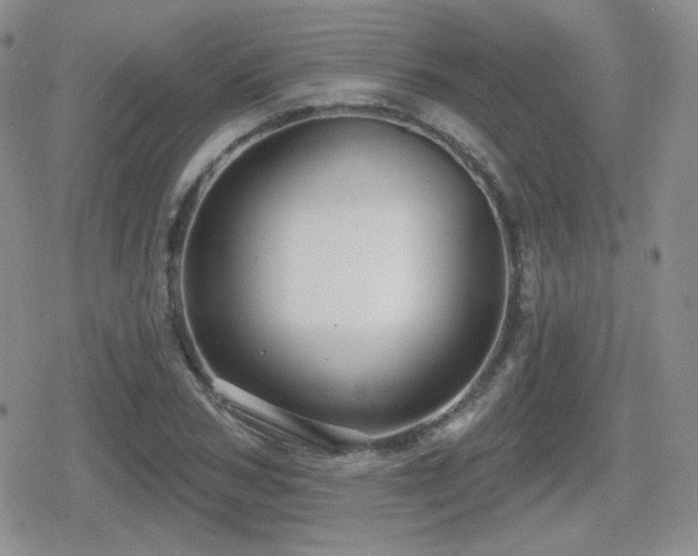 X0000080740978200612151245