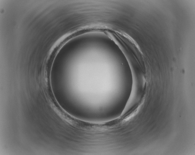 X0000080740981200612151245