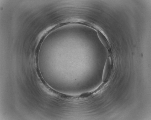 X0000080740987200612151245