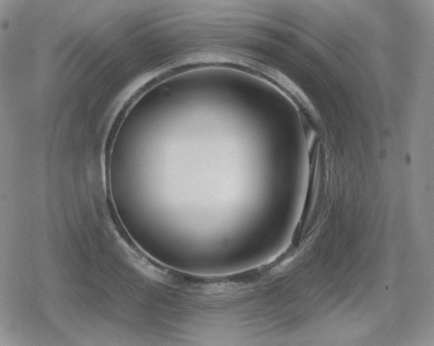 X0000080740988200612151245
