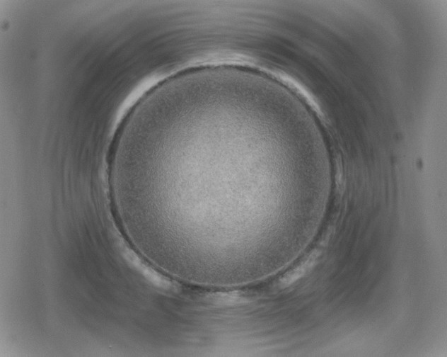 X0000080740990200612151245