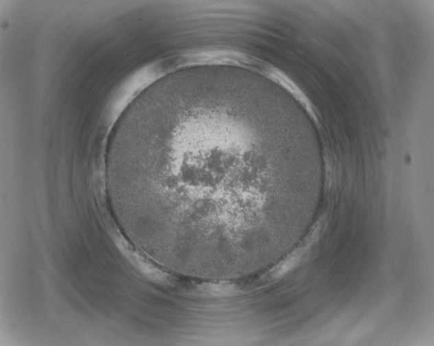 X0000080740994200612151245