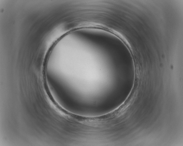 X0000080740995200612151245