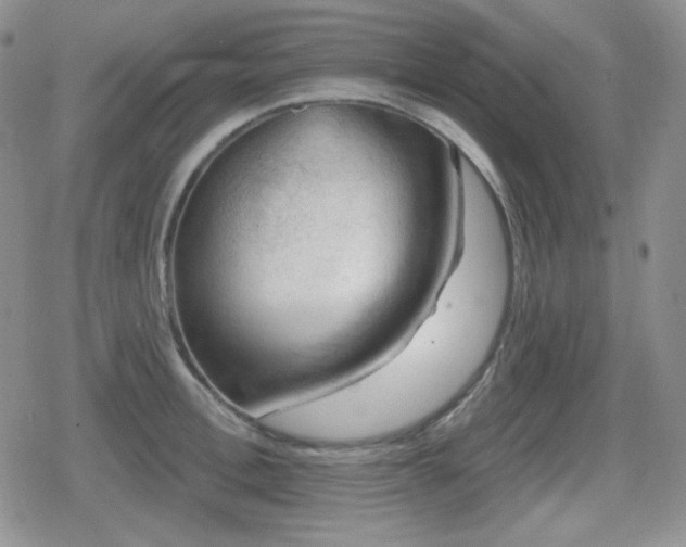 X0000080740996200612151245