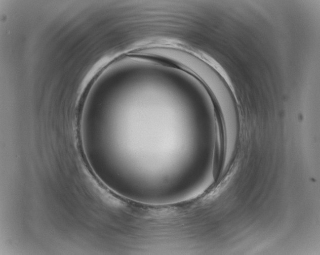 X0000080740997200612151245