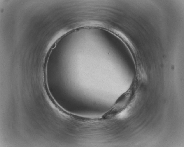 X0000080740999200612151245