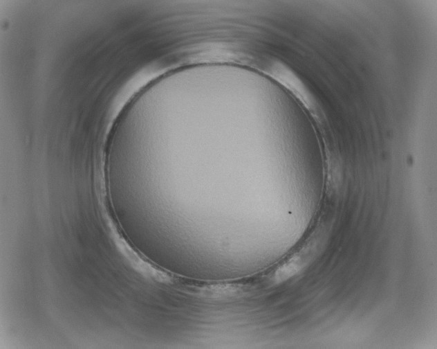 X0000080741000200612151245