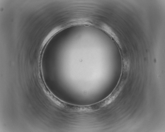 X0000080741002200612151245