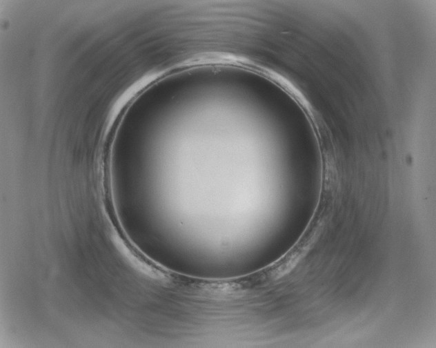 X0000080741003200612151245