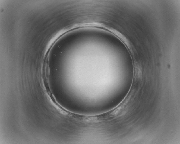 X0000080741006200612151245