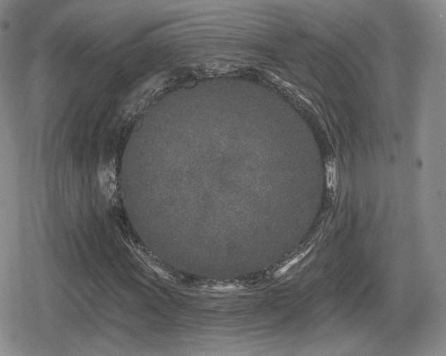 X0000080741011200612151244