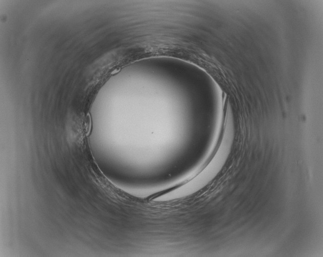 X0000080741012200612151244