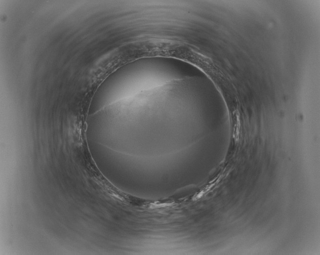 X0000080741013200612151244