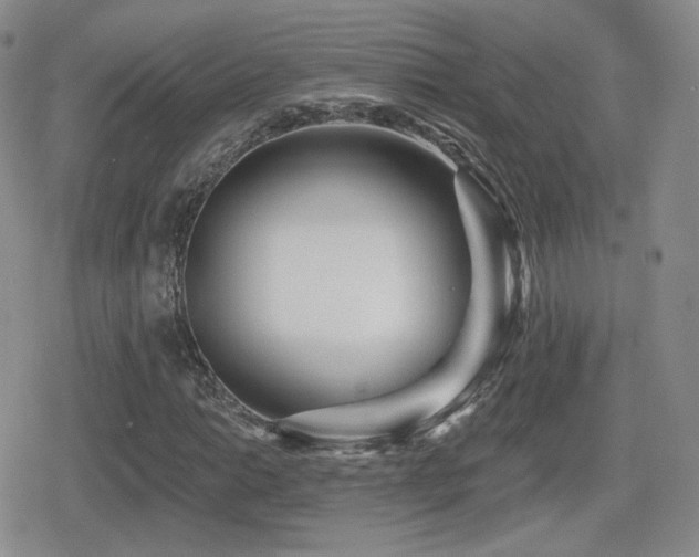 X0000080741014200612151244