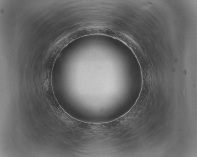 X0000080741015200612151244