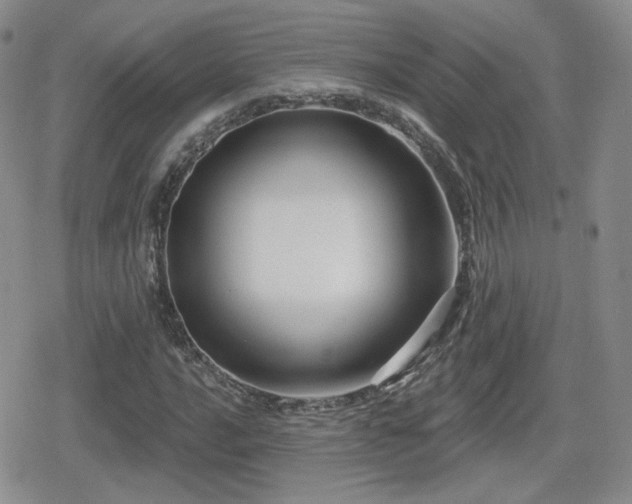 X0000080741016200612151244