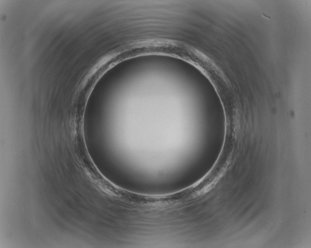 X0000080741017200612151244