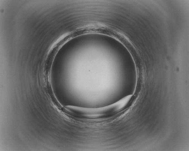 X0000080741018200612151244