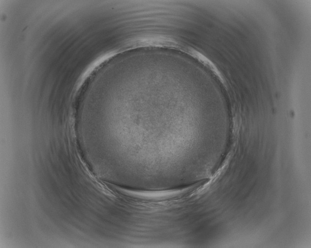 X0000080741019200612151244