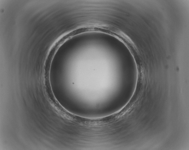 X0000080741020200612151244