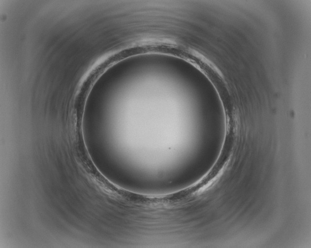 X0000080741021200612151244