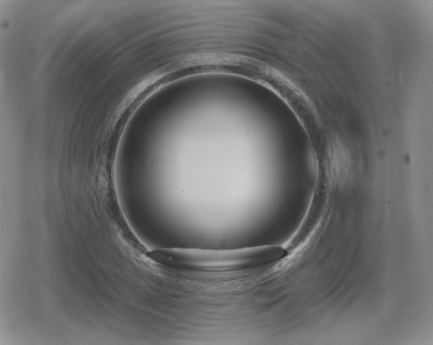 X0000080741025200612151244