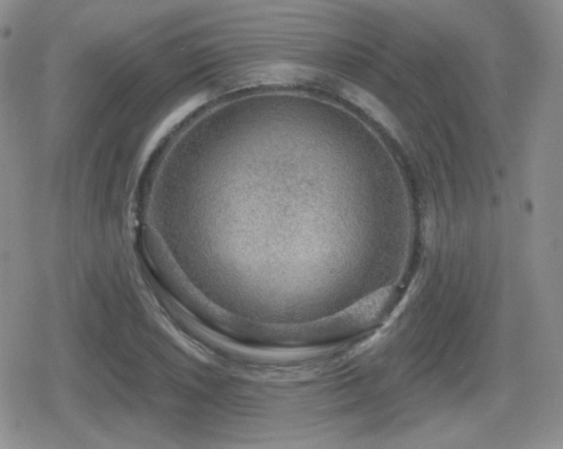 X0000080741026200612151244