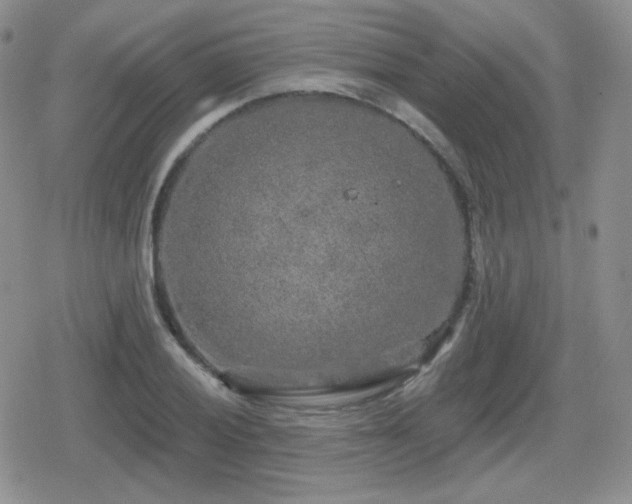 X0000080741028200612151244
