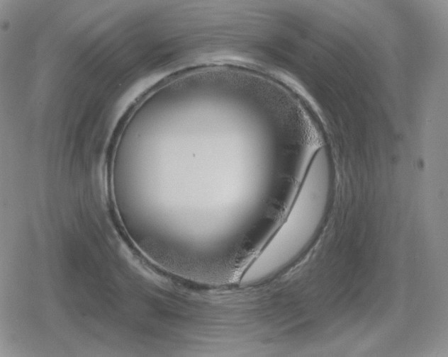 X0000080741032200612151244