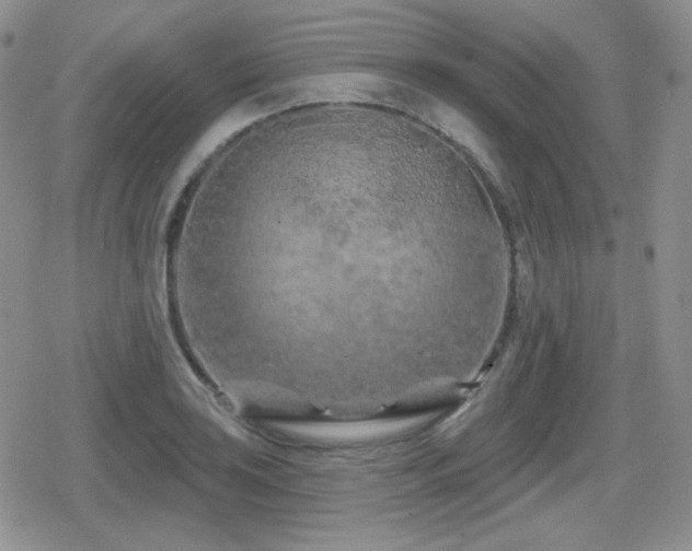 X0000080741035200612151244
