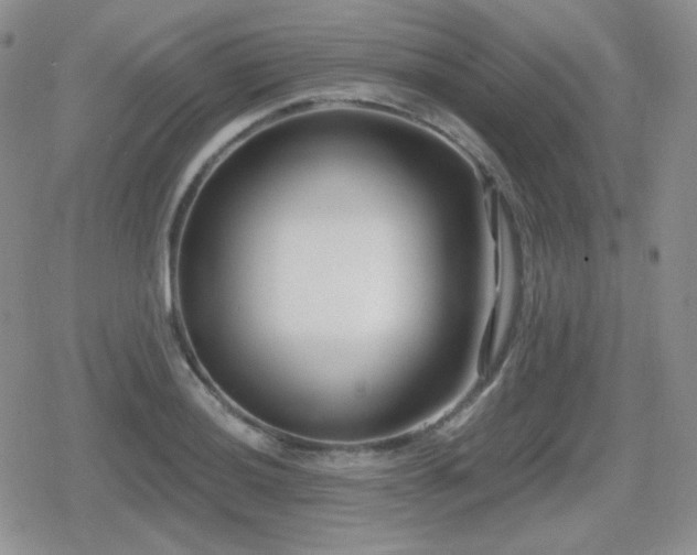 X0000080741036200612151244