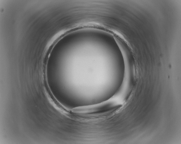 X0000080741038200612151244