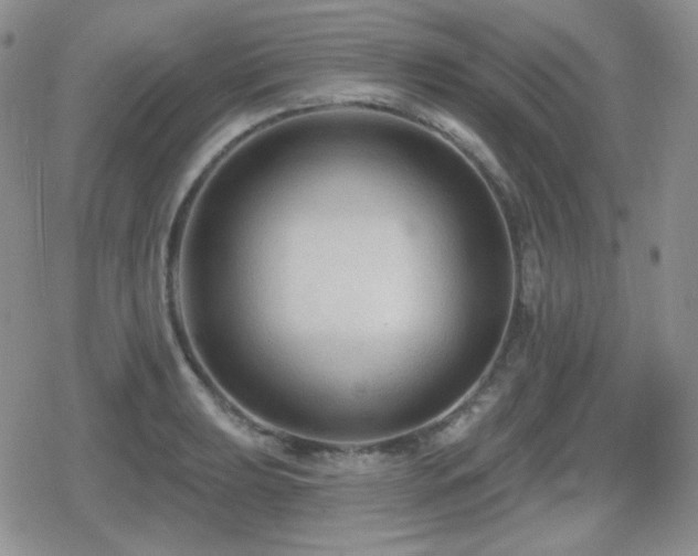 X0000080741039200612151244