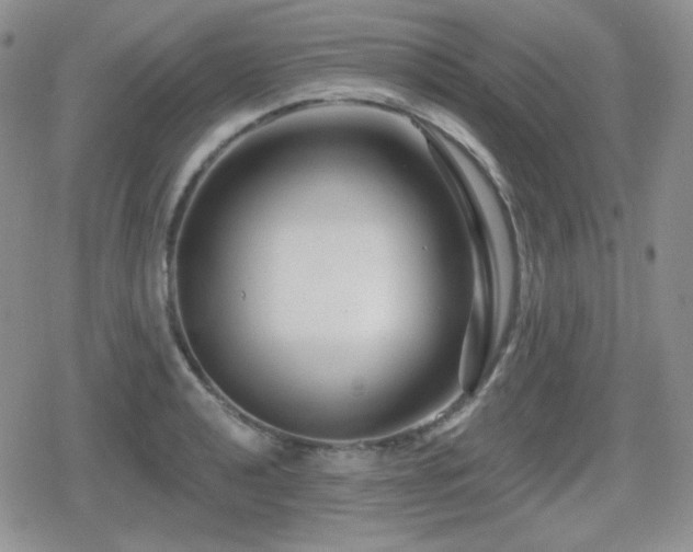 X0000080741040200612151244