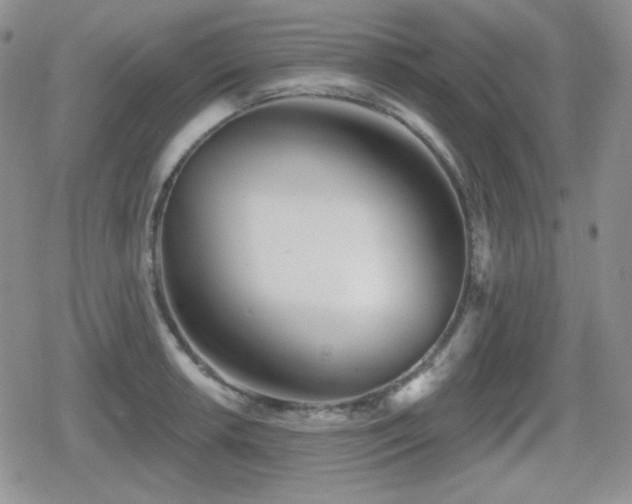 X0000080741042200612151244